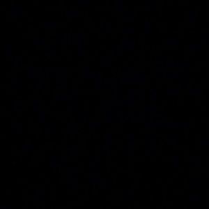 Meet your Posher, Vick